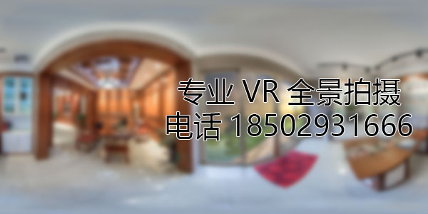 花山VR全景技术在未来可能的发展方向和应用领域?